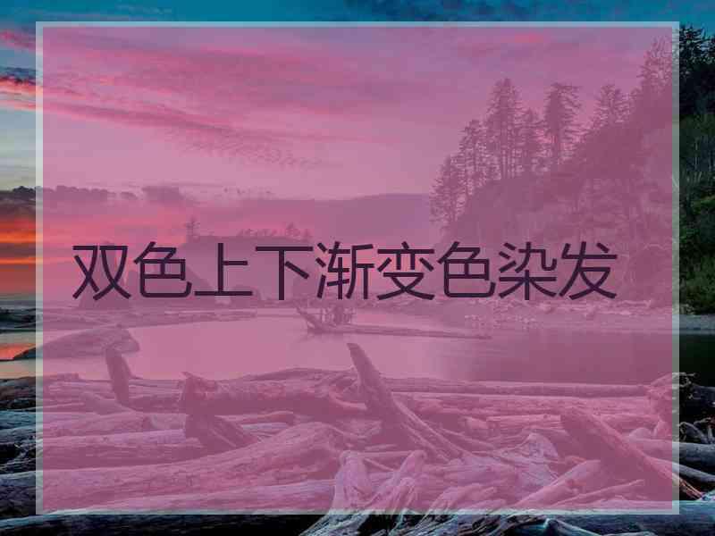 双色上下渐变色染发