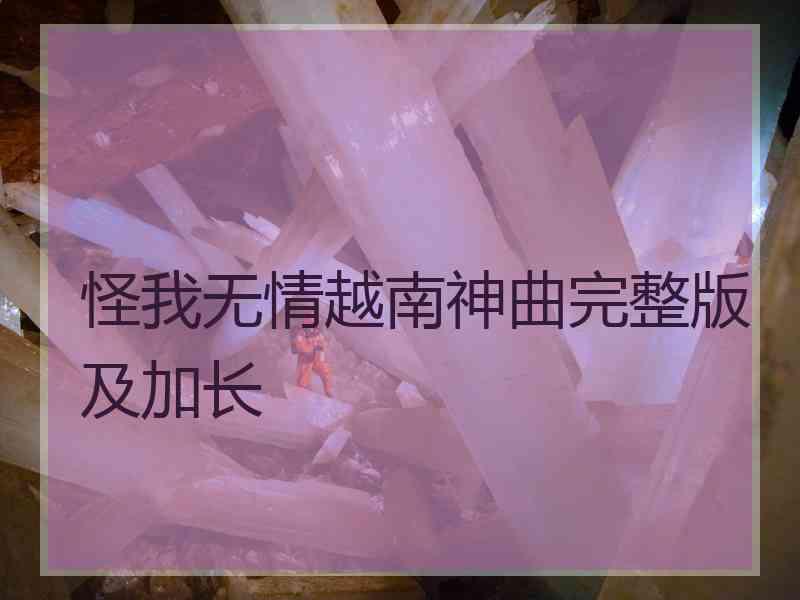 怪我无情越南神曲完整版及加长