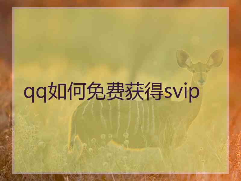 qq如何免费获得svip