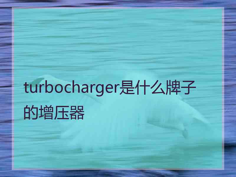 turbocharger是什么牌子的增压器