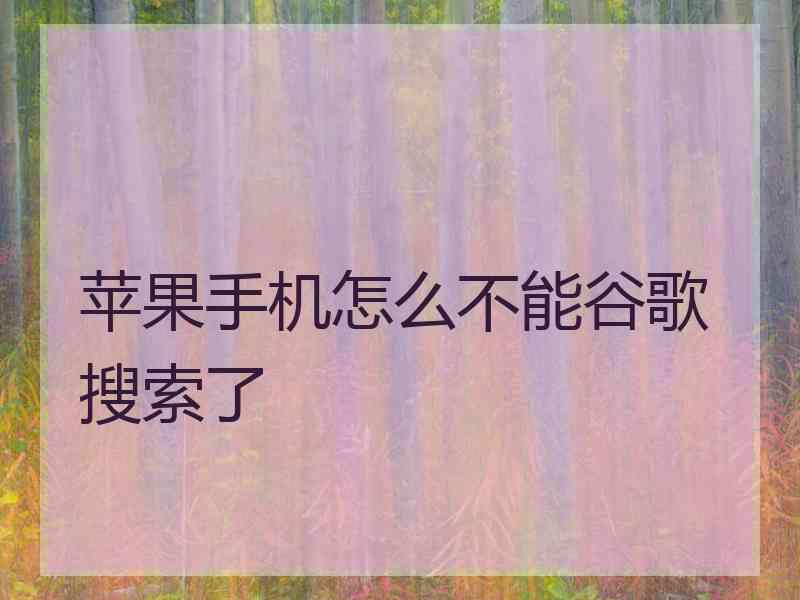 苹果手机怎么不能谷歌搜索了