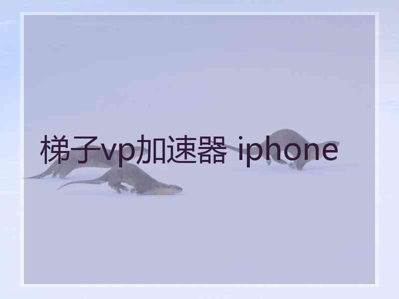 梯子vp加速器 iphone