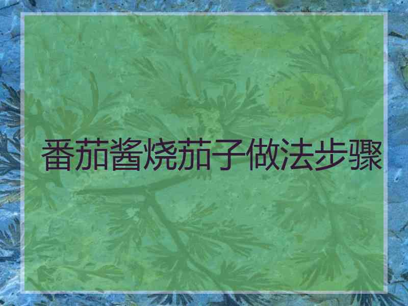 番茄酱烧茄子做法步骤