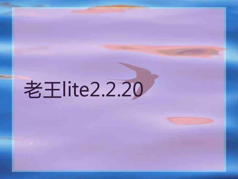 老王lite2.2.20