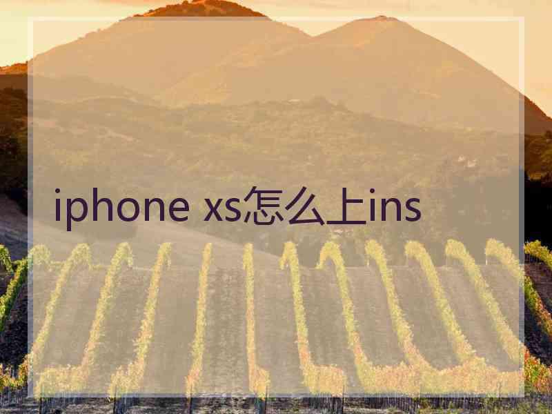 iphone xs怎么上ins