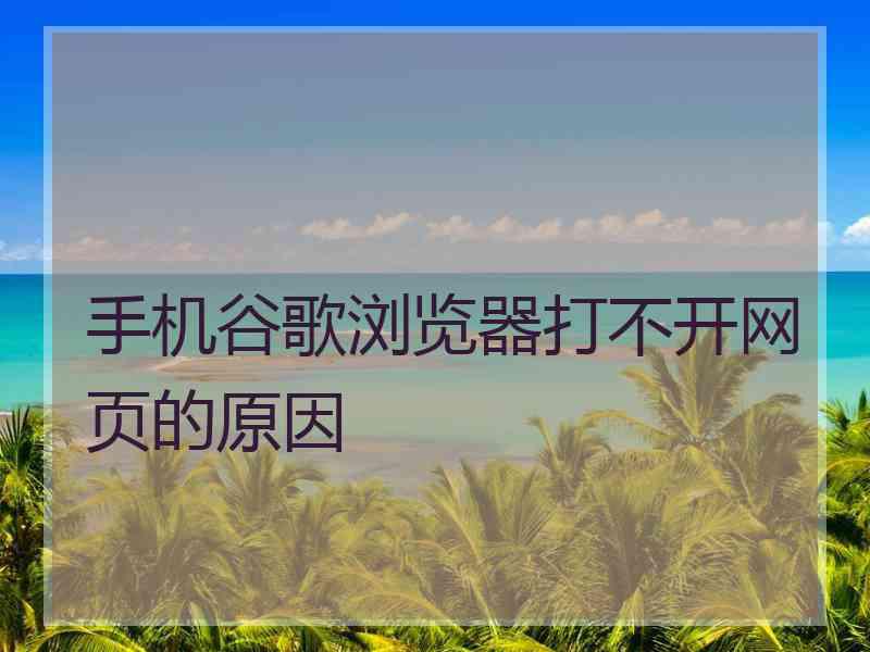 手机谷歌浏览器打不开网页的原因