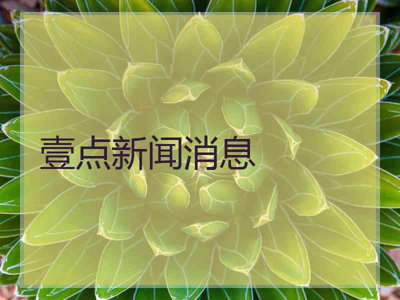 壹点新闻消息