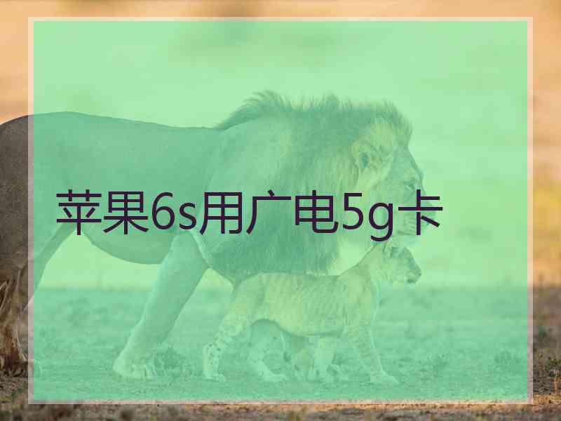 苹果6s用广电5g卡