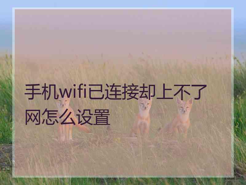 手机wifi已连接却上不了网怎么设置