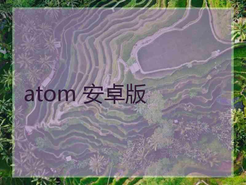 atom 安卓版