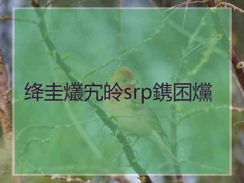 绛圭爜宄皊srp鎸囨爣