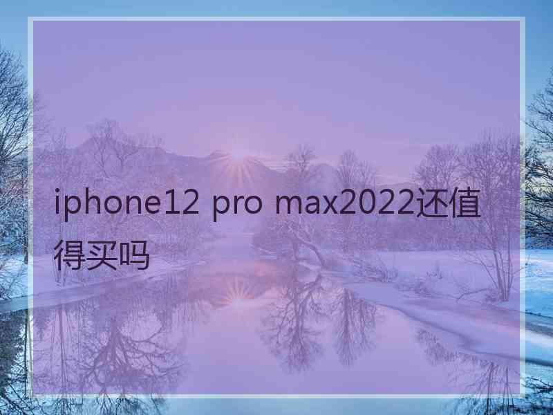 iphone12 pro max2022还值得买吗