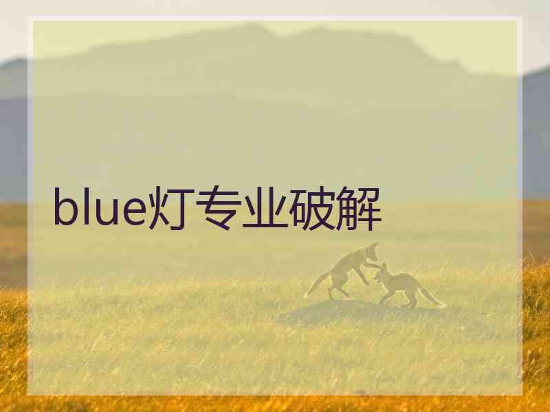 blue灯专业破解