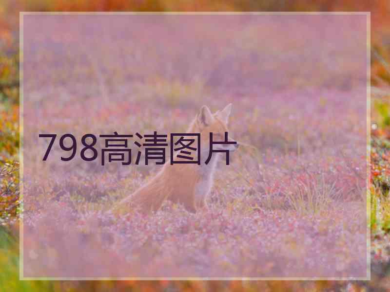 798高清图片