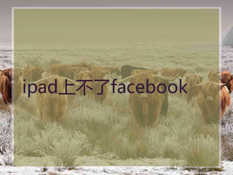 ipad上不了facebook