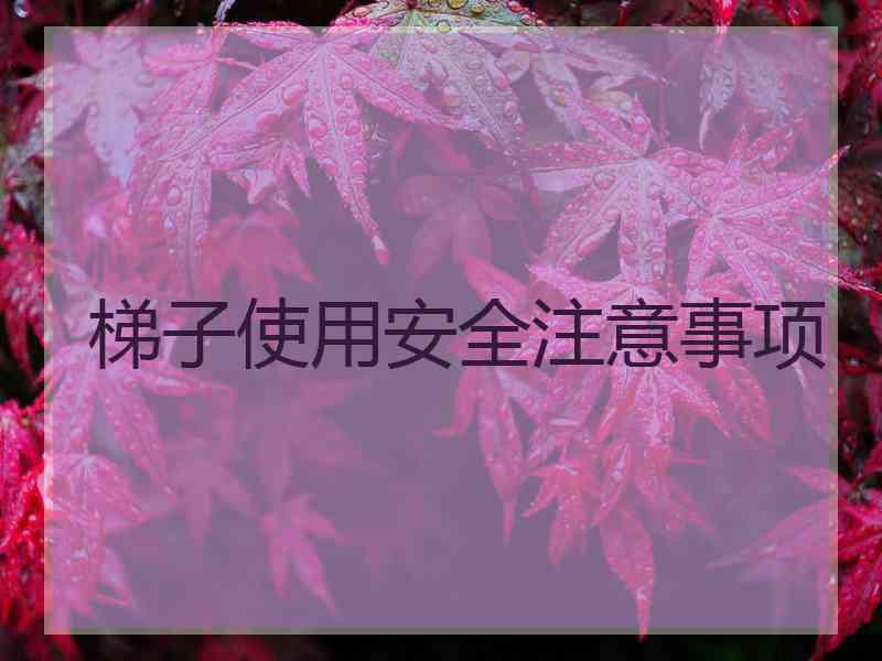 梯子使用安全注意事项