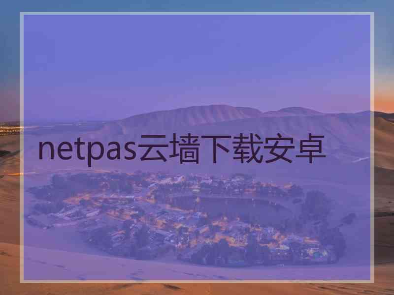 netpas云墙下载安卓