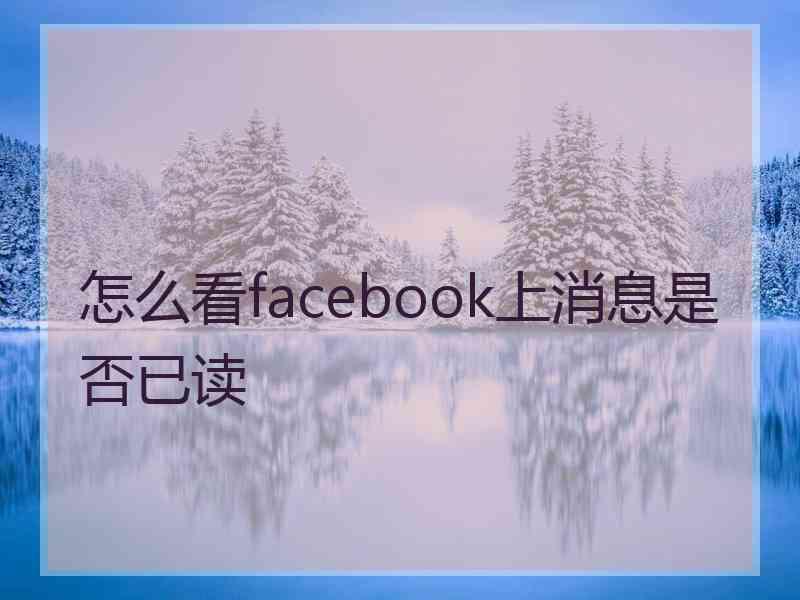 怎么看facebook上消息是否已读