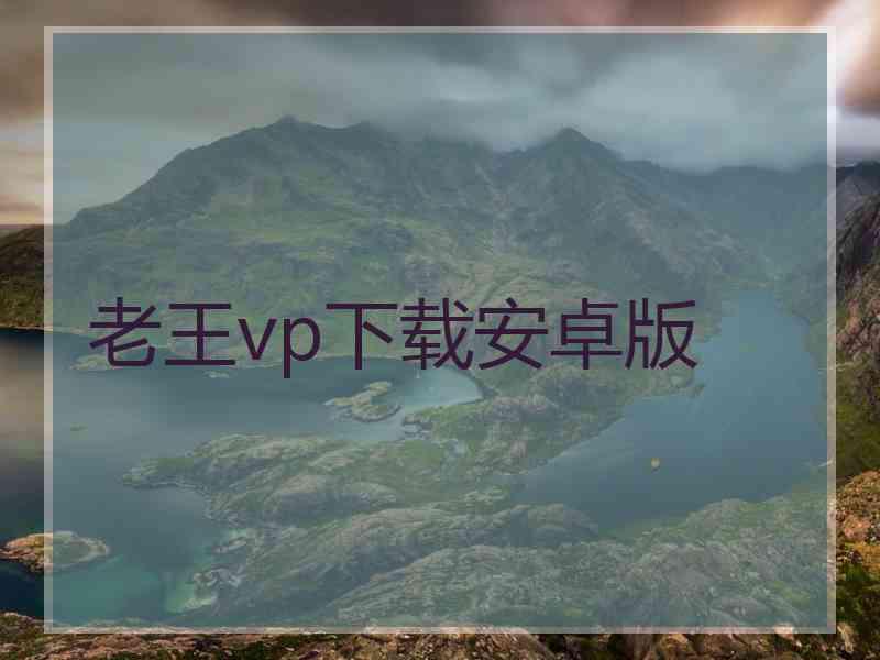 老王vp下载安卓版