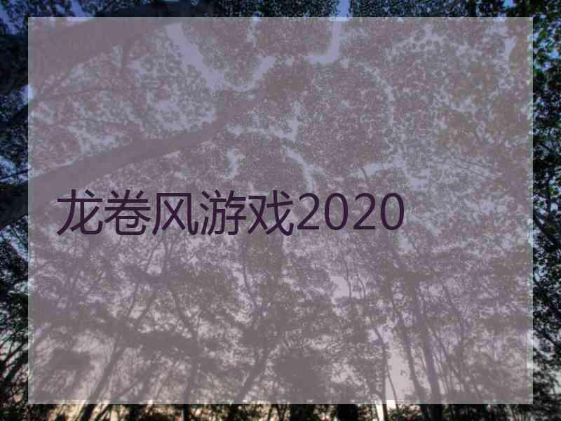 龙卷风游戏2020