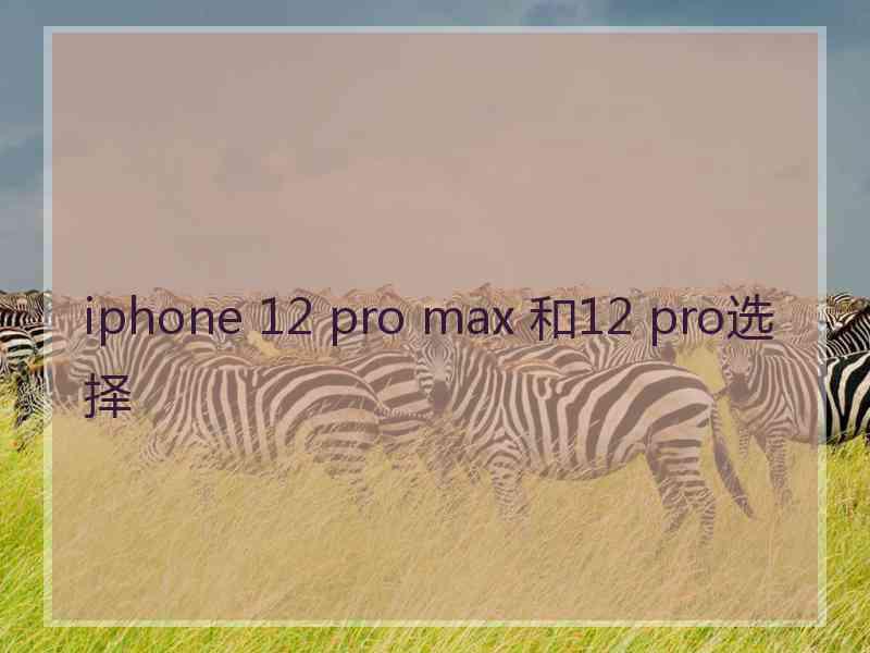 iphone 12 pro max 和12 pro选择