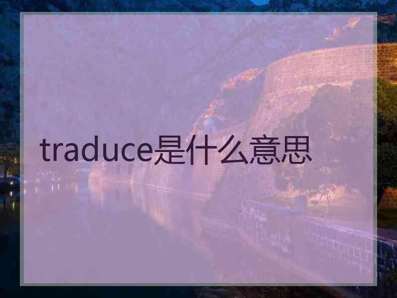 traduce是什么意思