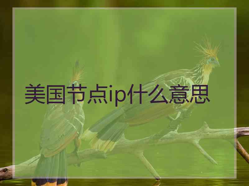 美国节点ip什么意思