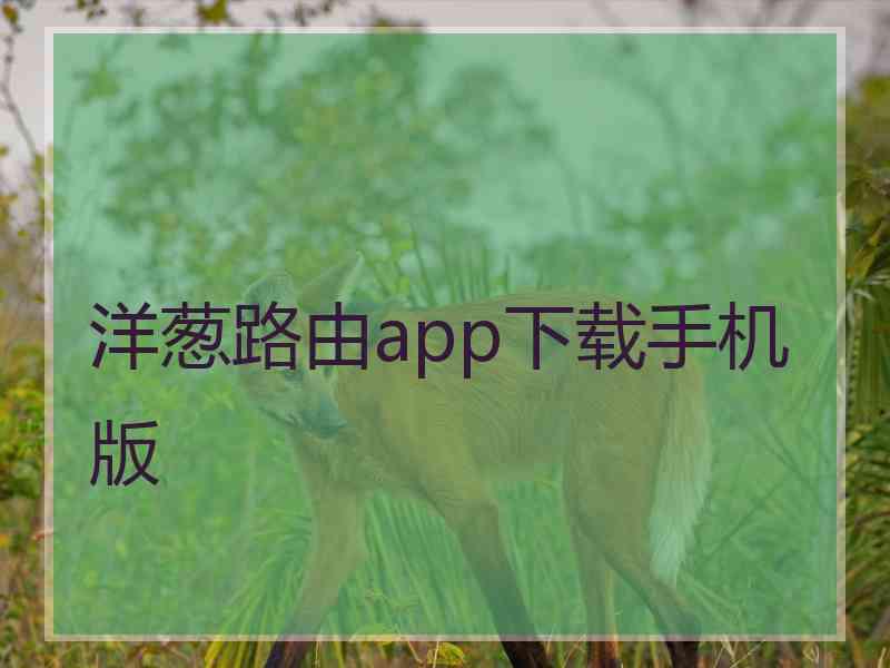 洋葱路由app下载手机版