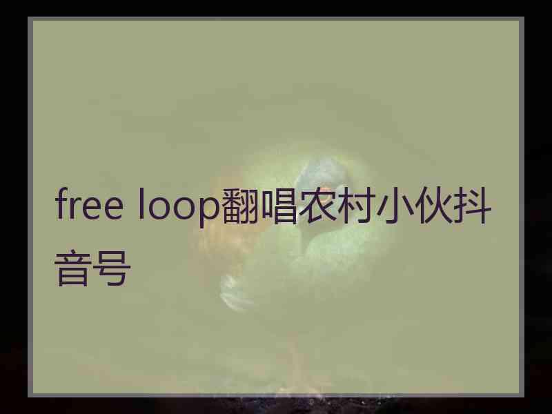 free loop翻唱农村小伙抖音号