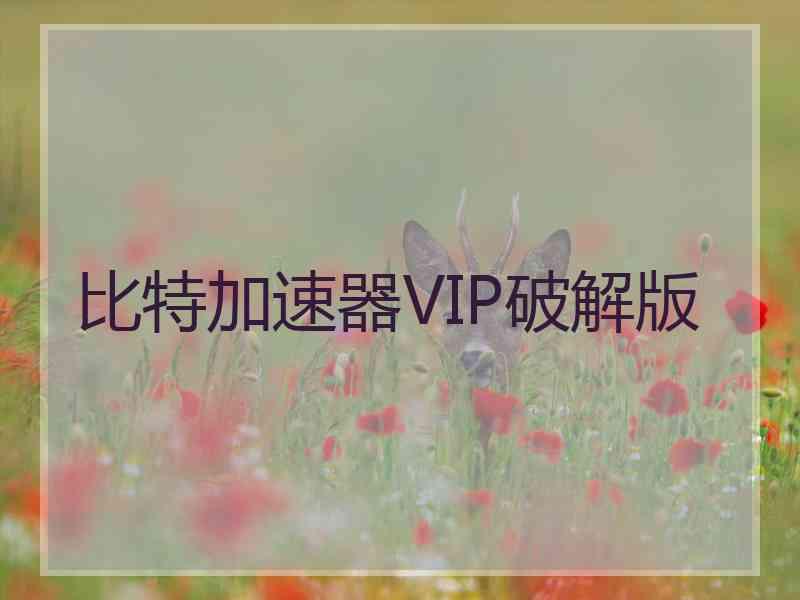 比特加速器VIP破解版