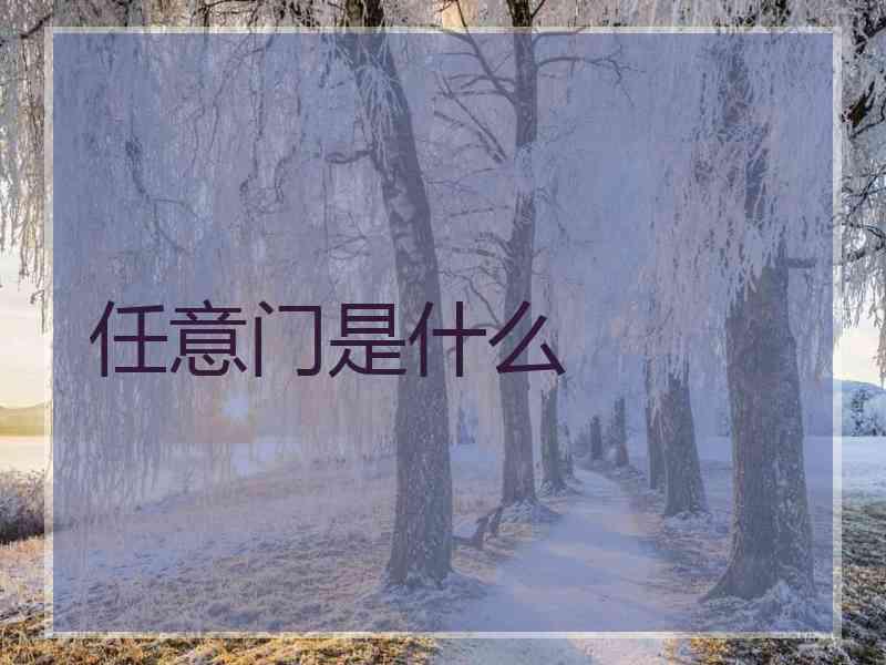 任意门是什么