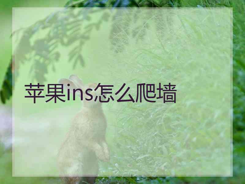 苹果ins怎么爬墙