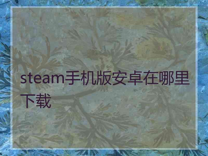 steam手机版安卓在哪里下载