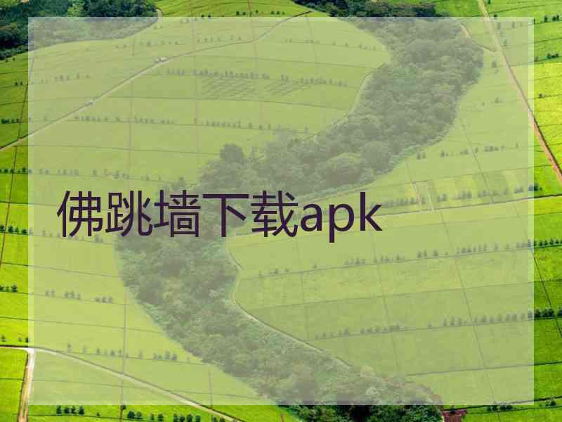 佛跳墙下载apk