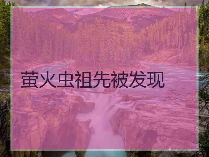 萤火虫祖先被发现