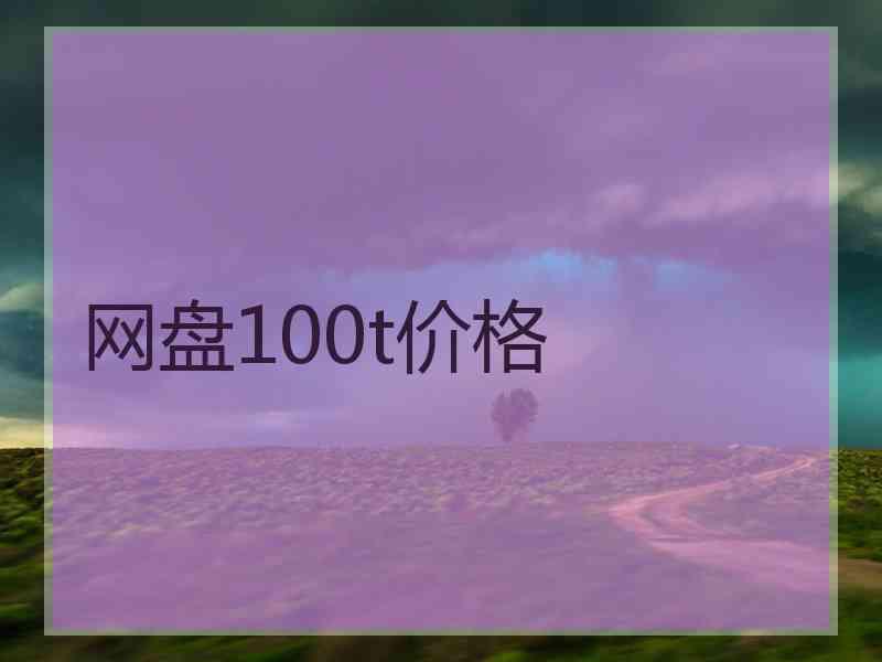 网盘100t价格