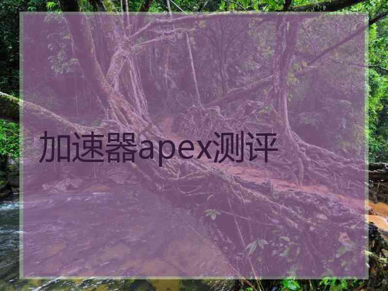 加速器apex测评