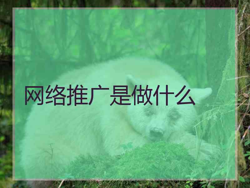 网络推广是做什么