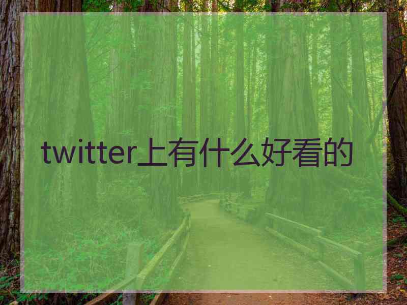 twitter上有什么好看的