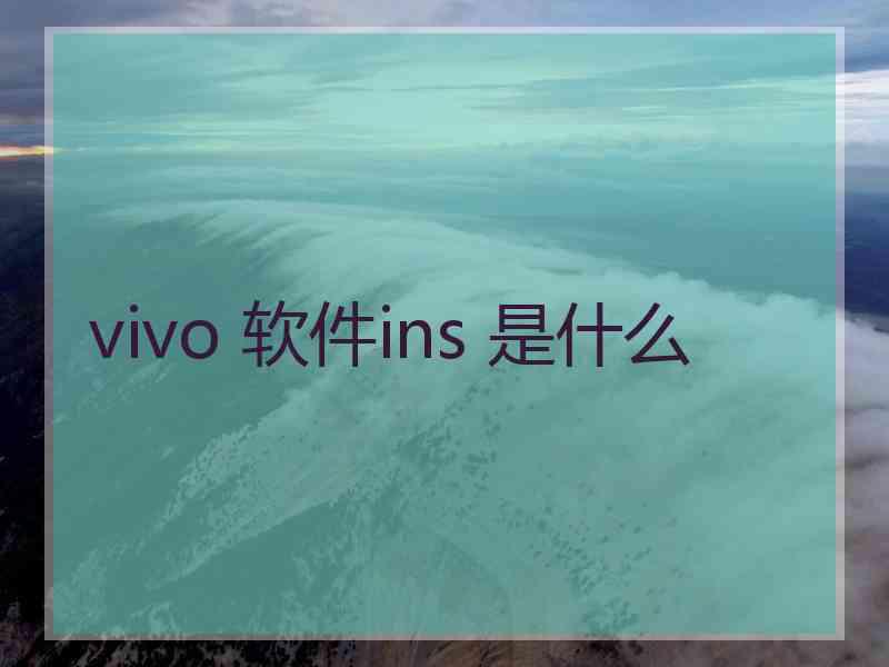 vivo 软件ins 是什么