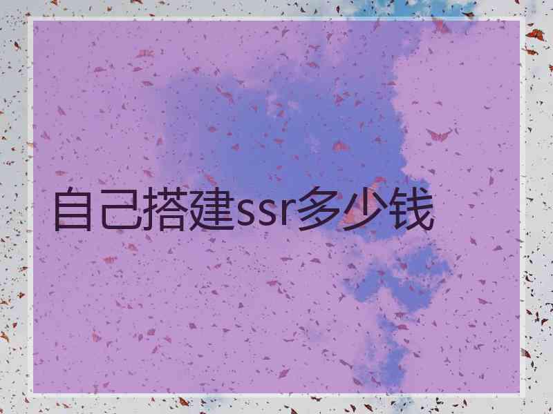 自己搭建ssr多少钱