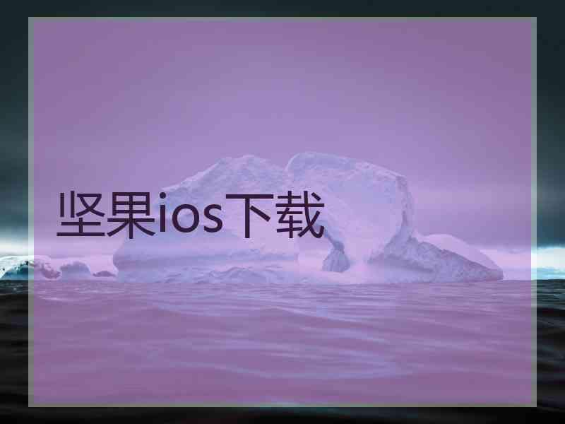 坚果ios下载