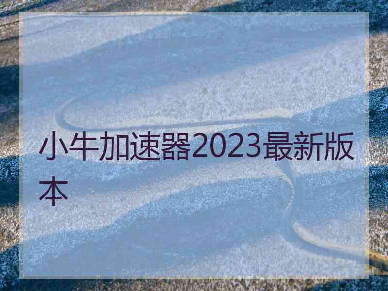 小牛加速器2023最新版本