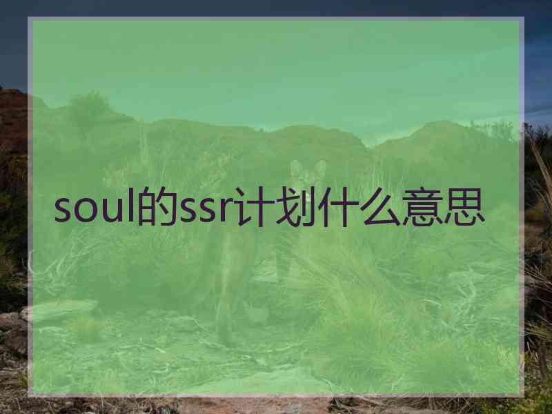 soul的ssr计划什么意思