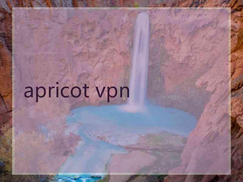 apricot vpn