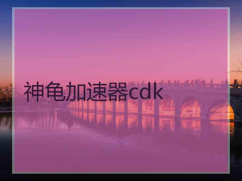 神龟加速器cdk