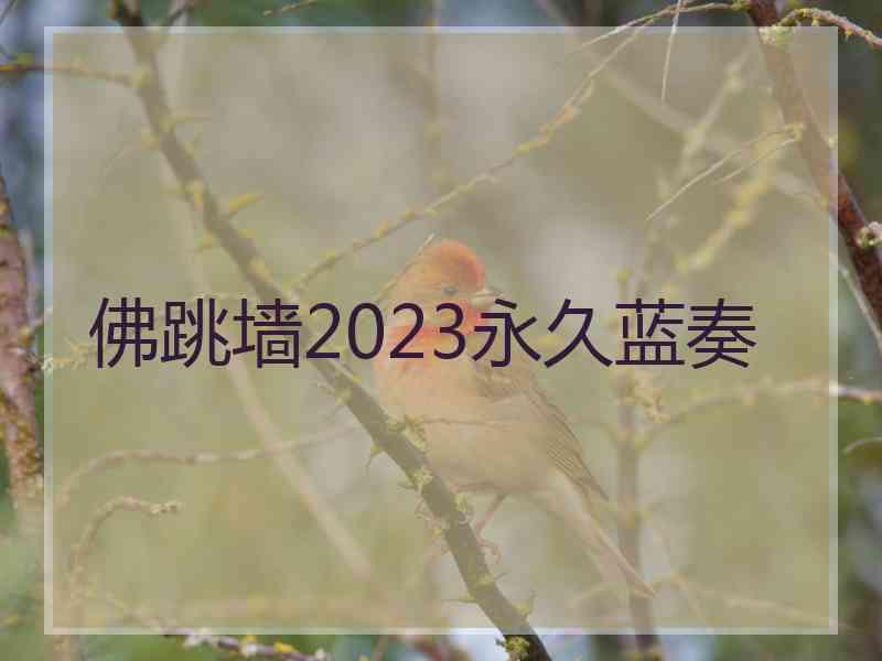 佛跳墙2023永久蓝奏