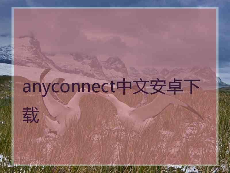 anyconnect中文安卓下载