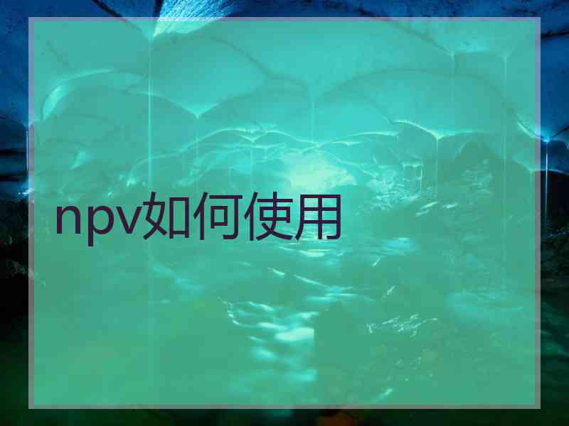 npv如何使用