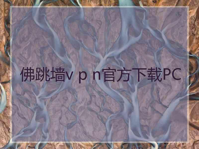 佛跳墙v p n官方下载PC